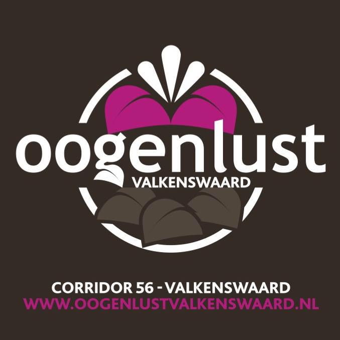Naar de startpagina